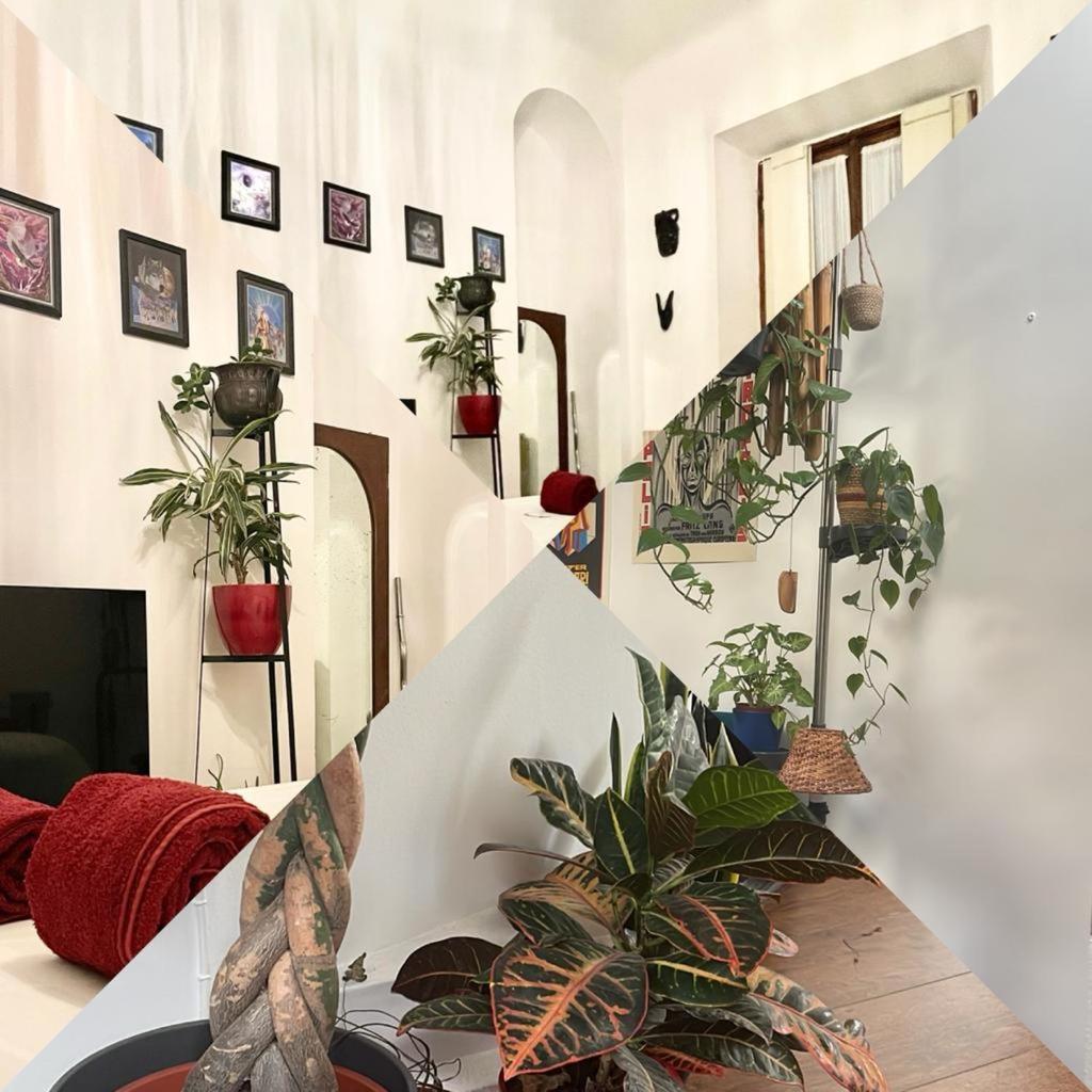 La Stanza Della Giungla Apartment Милано Екстериор снимка